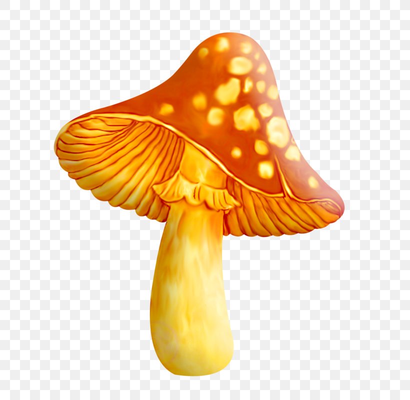 Common Mushroom Clip Art, PNG, 712x800px, Mushroom, Amanita Muscaria, Common Mushroom, Computer Software, Death Cap Download Free