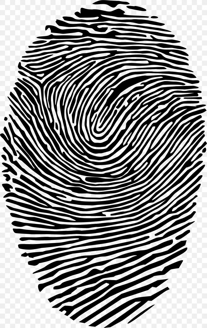 Fingerprint Spiral Clip Art, PNG, 1454x2300px, Fingerprint, Black, Black And White, Cmyk Color Model, Drawing Download Free