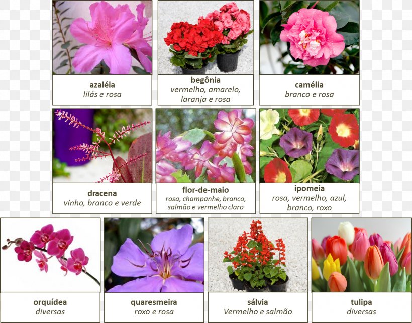 Floral Design Cut Flowers Petal Autumn, PNG, 1346x1057px, 2012, Floral Design, Annual Plant, April, Auglis Download Free