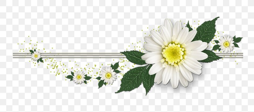 Flower, PNG, 800x362px, Flower, Bbcode, Body Jewelry, Chamaemelum Nobile, Chrysanths Download Free
