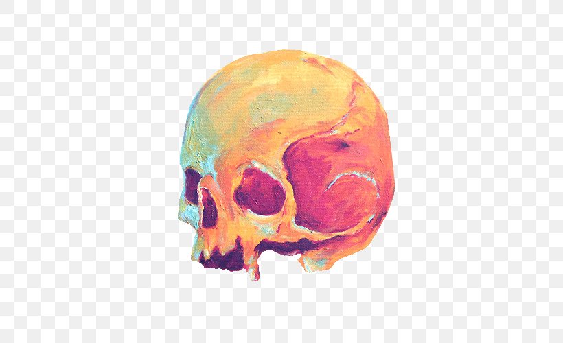 Happiness Skull Love Highway Organism, PNG, 500x500px, Happiness, Bone, Desert, Express Yourself, Girl Download Free