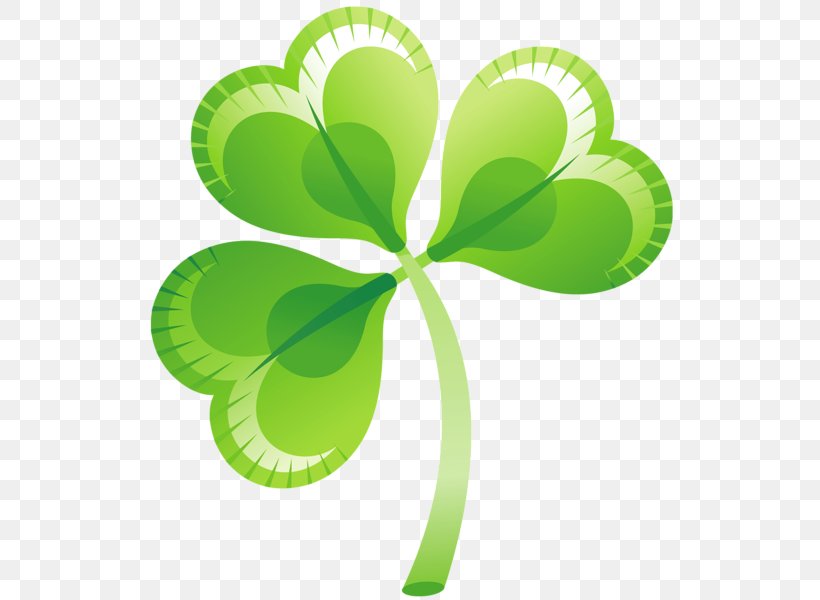 Ireland Shamrock Saint Patrick's Day Clip Art, PNG, 541x600px, Ireland, Flowering Plant, Green, Leaf, Photography Download Free