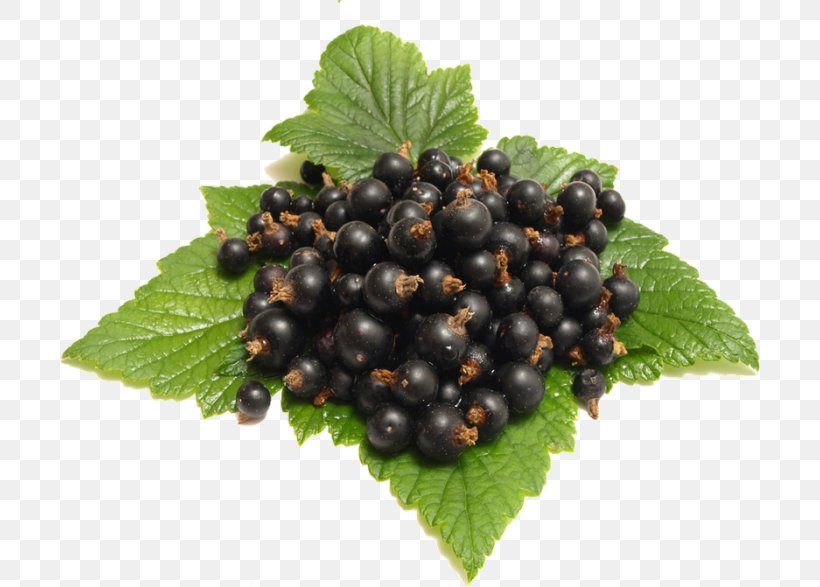 Juice Fruit Blackcurrant Berries, PNG, 700x587px, Juice, Berries, Berry, Bilberry, Blackberry Download Free