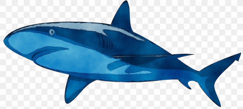 Sharks Tiger Shark Fish Tiger Cobalt Blue / M, PNG, 958x431px, Watercolor, Animal Figurine, Biology, Fish, Paint Download Free