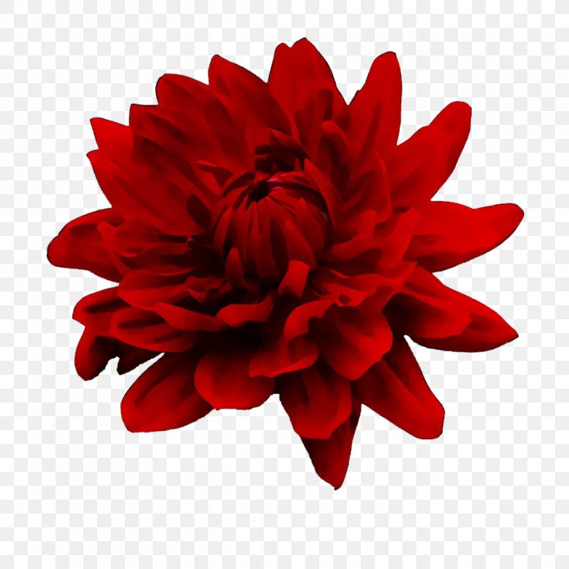 Red Barrette Flower Clip Art Hairpin, PNG, 1035x1035px, Red, Artificial Flower, Barrette, Bobby Pin, Bride Download Free