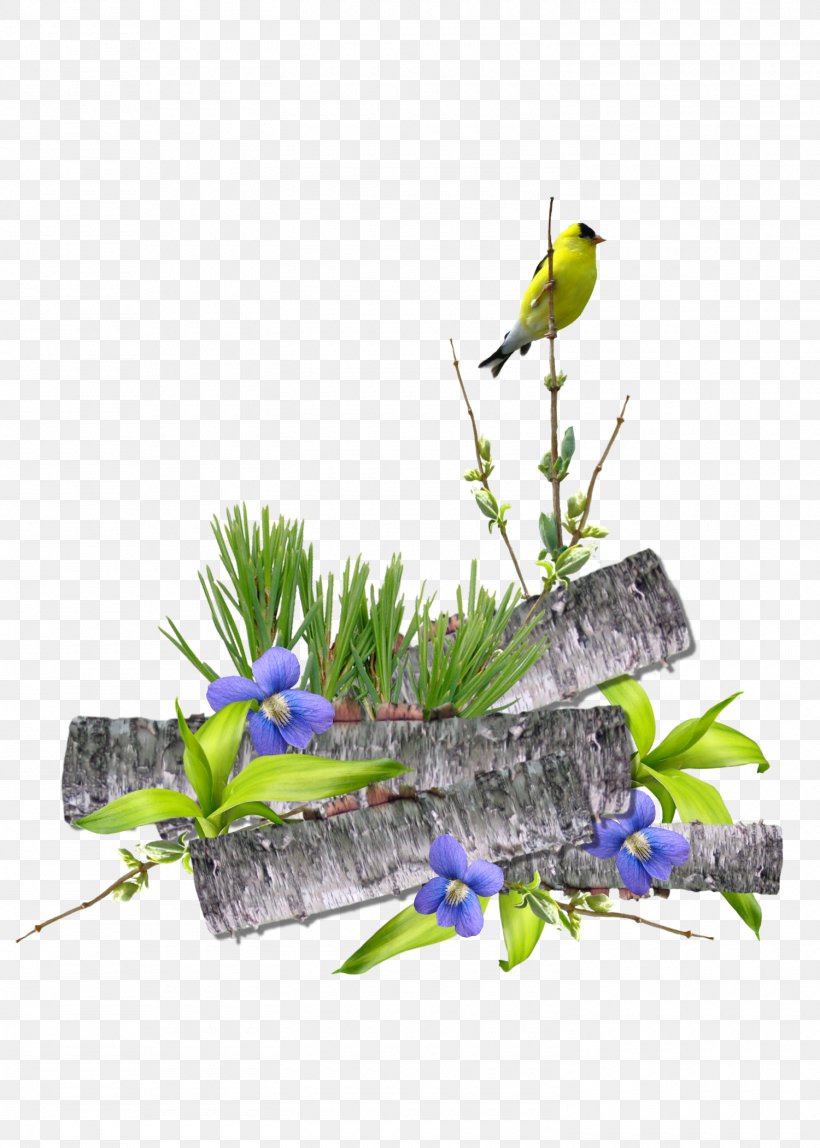 Bird Day .nl Weather Parakeet, PNG, 1500x2100px, Bird, Blog, Branch, Business Day, Common Pet Parakeet Download Free