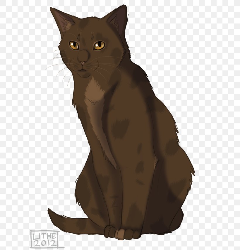 Kitten Burmese Cat Havana Brown Korat Bombay Cat, PNG, 624x852px, Kitten, Applefur, Asian, Black Cat, Bombay Download Free