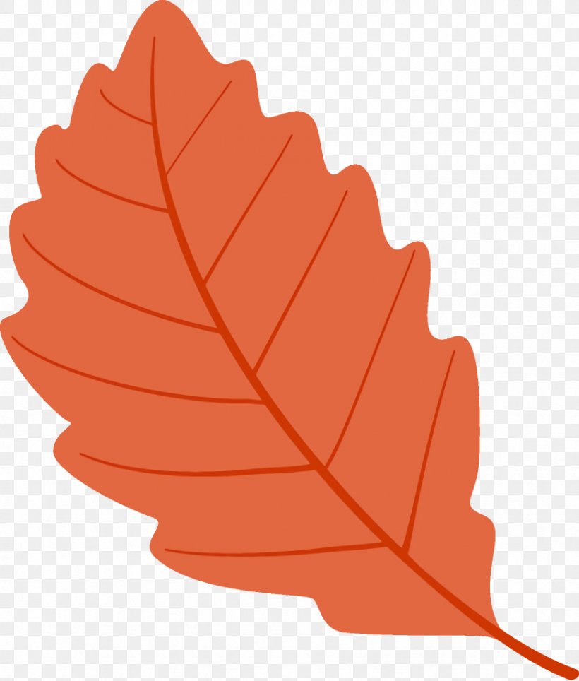 Autumn Leaf Fallen Leaf Dead Leaf, PNG, 872x1026px, Autumn Leaf, Dead Leaf, Fallen Leaf, Leaf, Orange Download Free