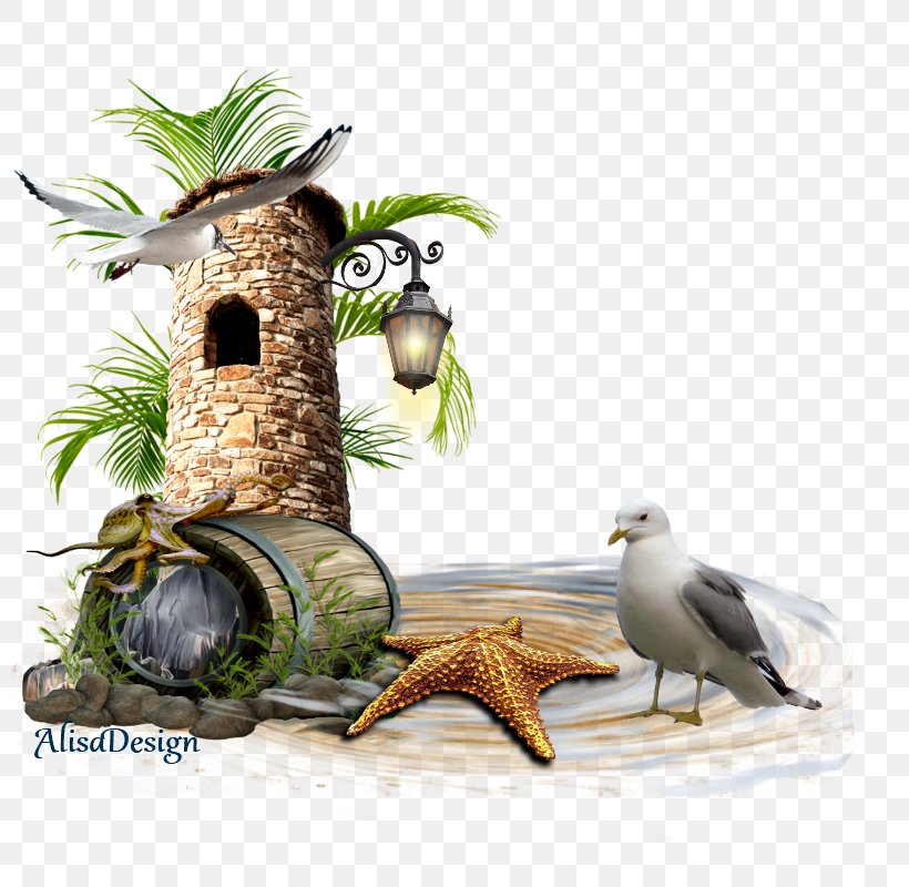 Bird Nest Diary Blog LiveInternet, PNG, 800x800px, Bird, April, April 12, Beach, Beak Download Free