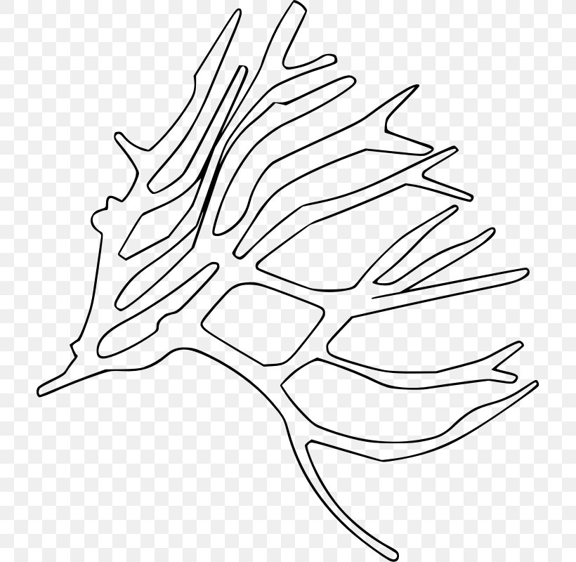 Drawing Sea Clip Art, PNG, 717x800px, Drawing, Artwork, Black And White, Branch, Color Download Free