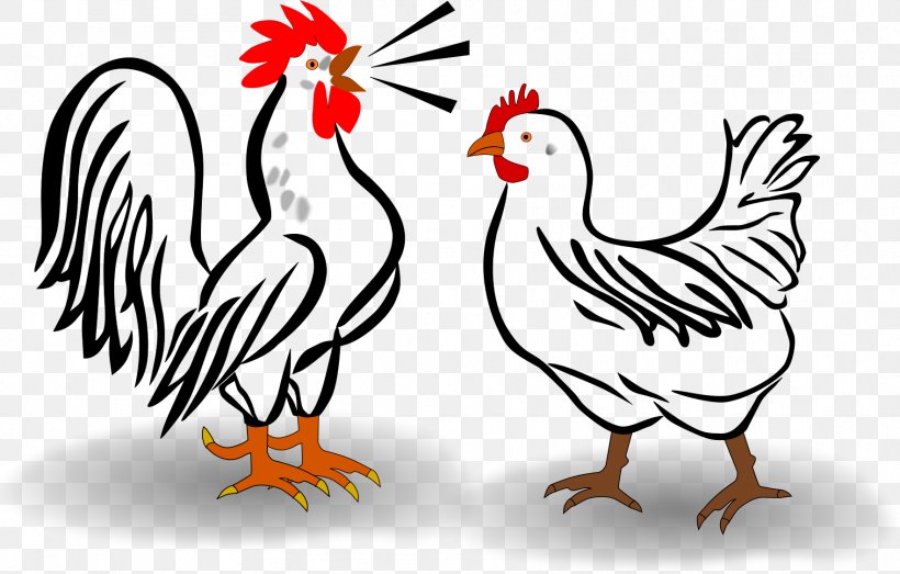 Leghorn Chicken Houdan Chicken Cochin Chicken Croad Langshan Rooster, PNG, 1765x1127px, Leghorn Chicken, Animal Figure, Art, Artwork, Beak Download Free