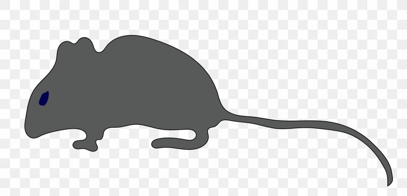 Rat Mouse Silhouette Tail Clip Art, PNG, 2400x1161px, Rat, Black, Black And White, Carnivoran, Computer Download Free