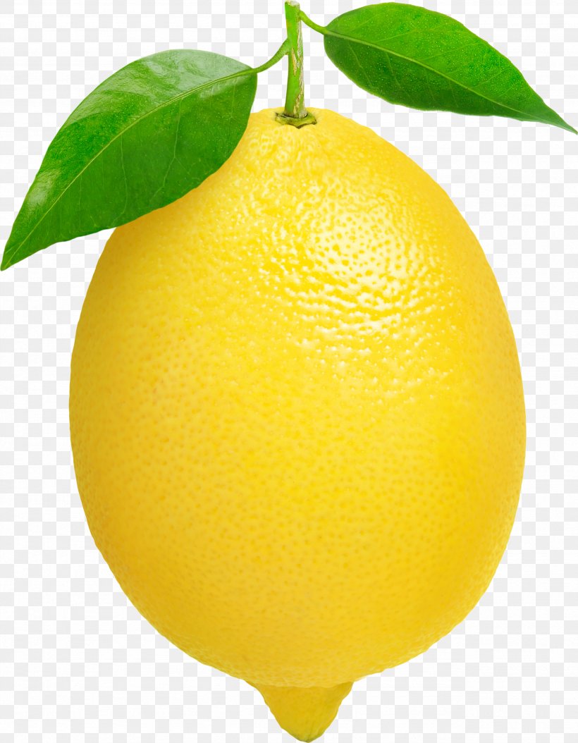 Lemon Clip Art, PNG, 2561x3294px, Lemon, Bitter Orange, Citric Acid, Citron, Citrus Download Free