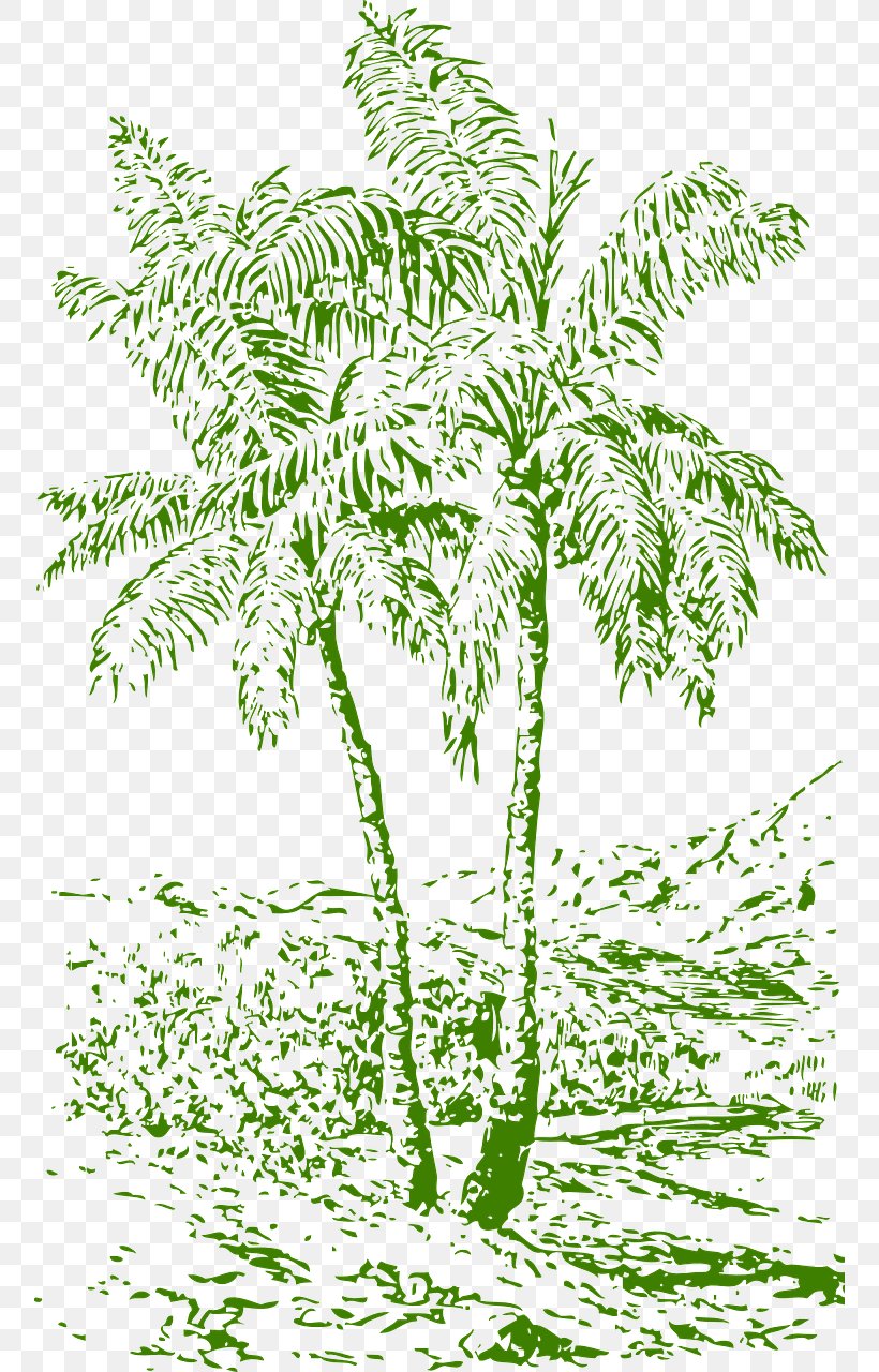 Arecaceae Drawing Coconut Tree, PNG, 756x1280px, Arecaceae, Arecales, Black And White, Branch, Coconut Download Free