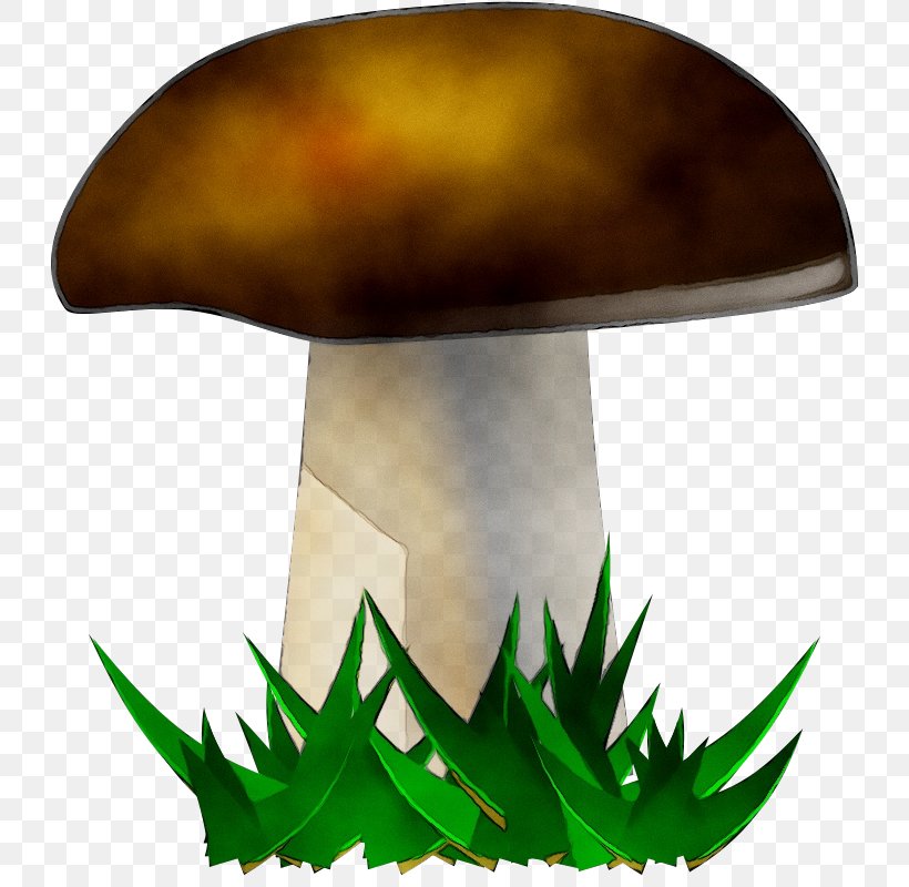 Clip Art Free Content Mushroom Openclipart Vector Graphics, PNG, 728x800px, Mushroom, Agaricaceae, Agaricomycetes, Blog, Bolete Download Free