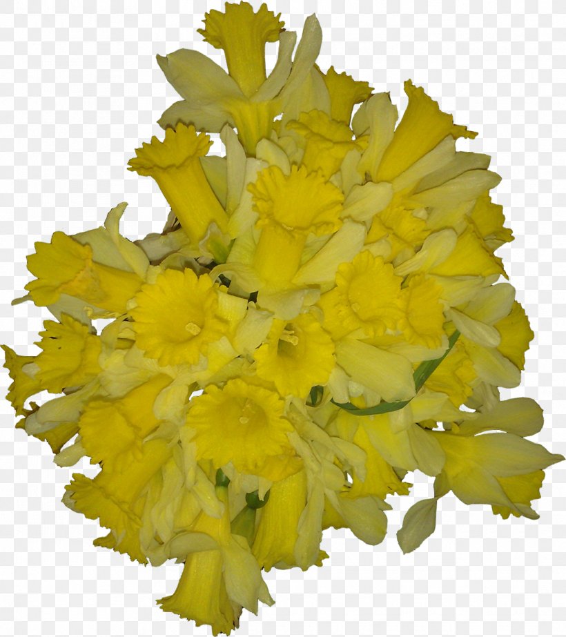 Cut Flowers Petal Wedding Flower Bouquet, PNG, 1065x1200px, Cut Flowers, Bride, Brides, Chrysanthemum, Flower Download Free