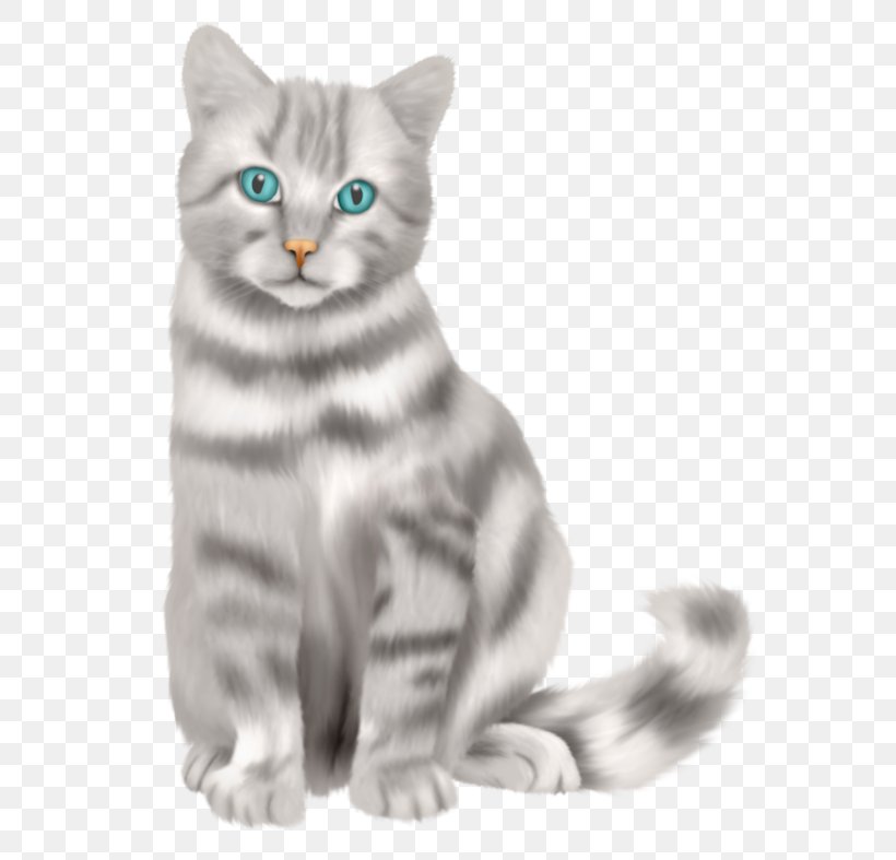 Kitten American Shorthair Whiskers European Shorthair Malayan Cat, PNG, 600x787px, Kitten, American Shorthair, American Wirehair, Asian, Carnivoran Download Free