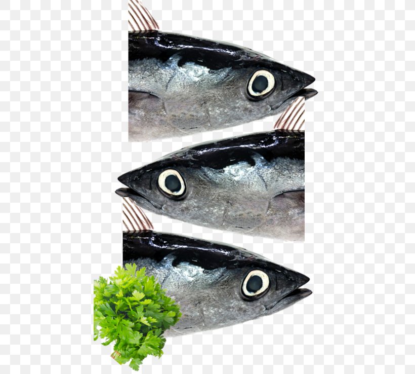 Mackerel Organic Food Italy Parsley Animal Source Foods, PNG, 450x738px, Mackerel, Animal Source Foods, European Pilchard, Fish, Food Download Free