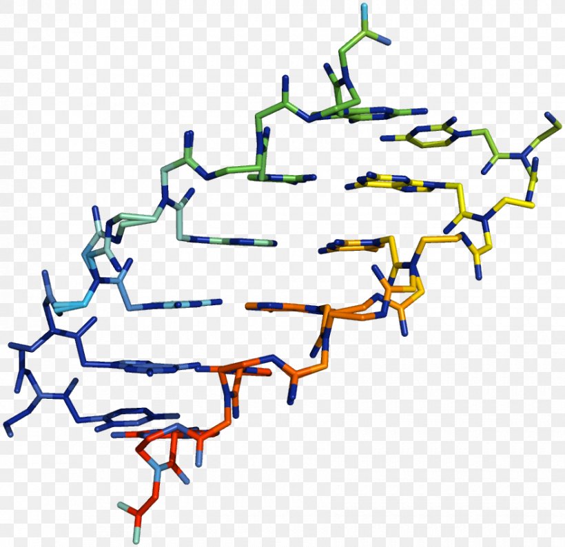Peptide Nucleic Acid Nucleic Acid Analogue DNA, PNG, 880x853px, Nucleic Acid, Acid, Area, Artwork, Carboxylic Acid Download Free