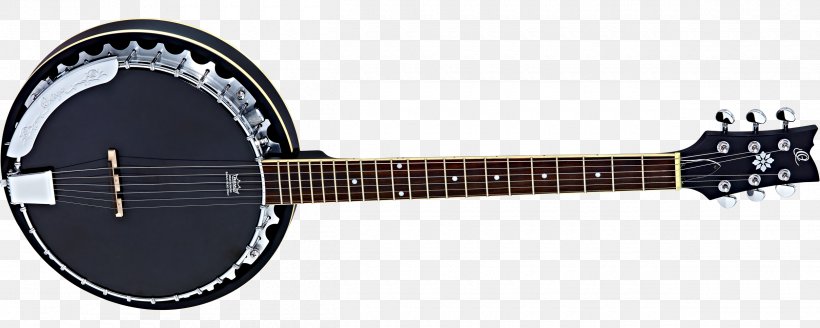 Ukulele Guitar Banjo Musical Instruments Mandolin, PNG, 2500x1000px, Watercolor, Cartoon, Flower, Frame, Heart Download Free