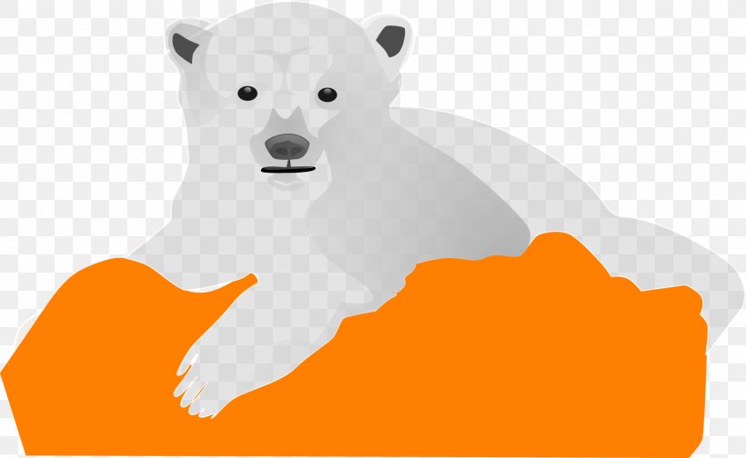 Baby Polar Bear Giant Panda Brown Bear, PNG, 1920x1182px, Polar Bear, Baby Polar Bear, Bear, Brown Bear, Carnivoran Download Free