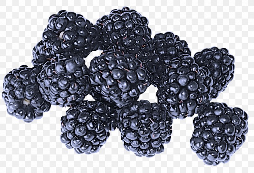 Blackberry Berry Rubus Fruit Loganberry, PNG, 1000x684px, Blackberry, Berry, Food, Fruit, Frutti Di Bosco Download Free