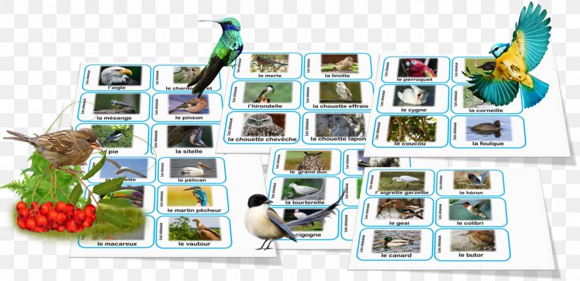Plastic Animal Biodiversity Language Nomenclature, PNG, 1490x723px, Plastic, Animal, Biodiversity, Fauna, Language Download Free