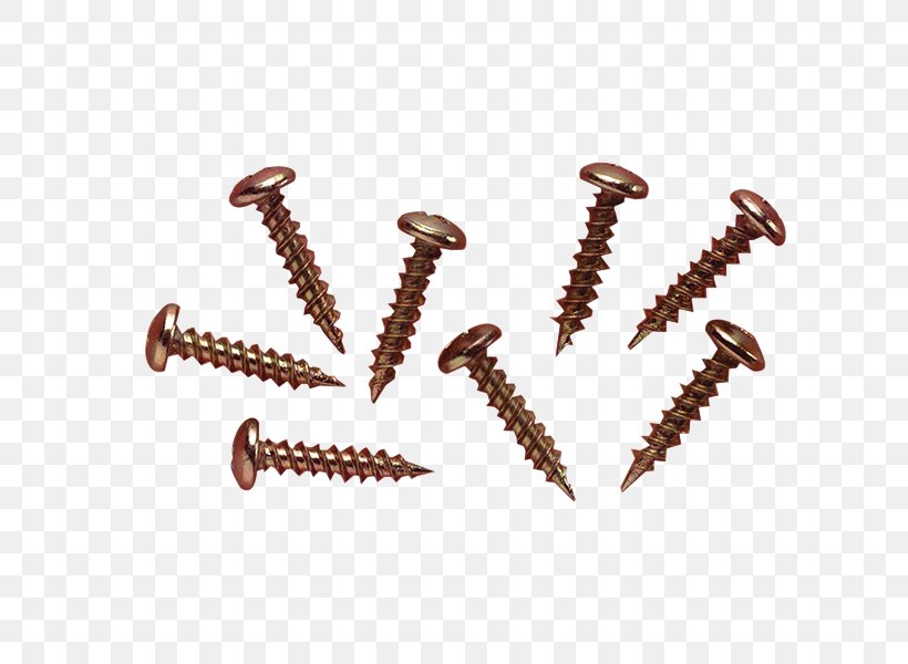 Self-tapping Screw Fastener Screw Thread Washer, PNG, 800x600px, Screw, Augers, Body Jewellery, Body Jewelry, Clipsal Download Free