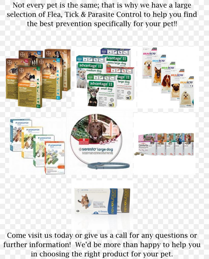 Apricot Veterinary Hospital Veterinarian Pet Dog Clinique Vétérinaire, PNG, 1000x1241px, Veterinarian, Dog, Flea, Fluralaner, Medical Prescription Download Free