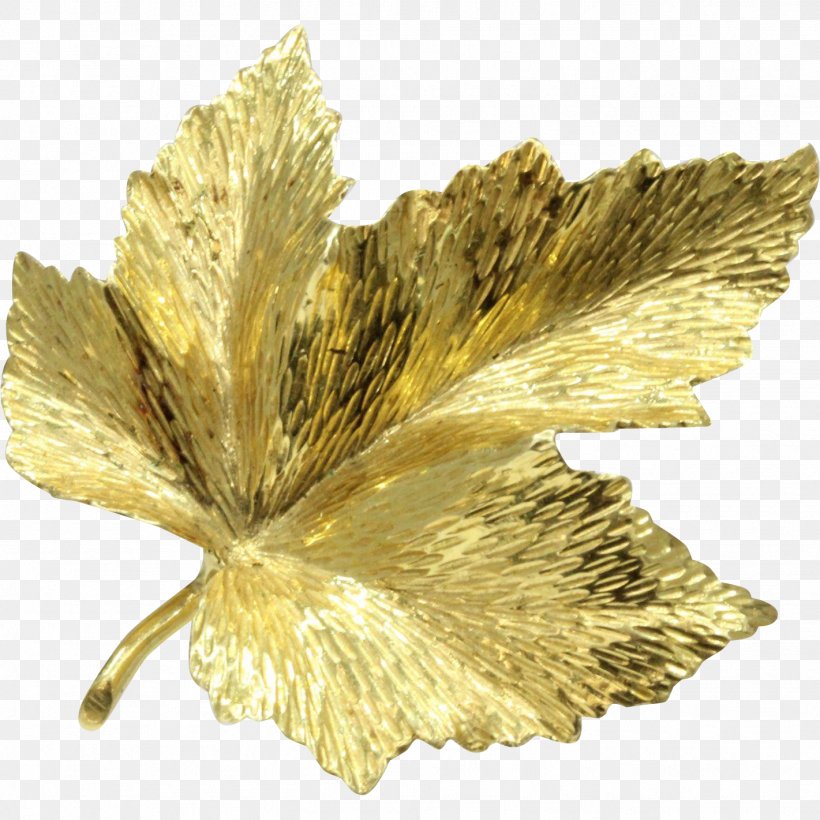 Canada Brooch Gold Maple Leaf, PNG, 1421x1421px, Canada, Brooch, Canadian Gold Maple Leaf, Colored Gold, Flower Download Free