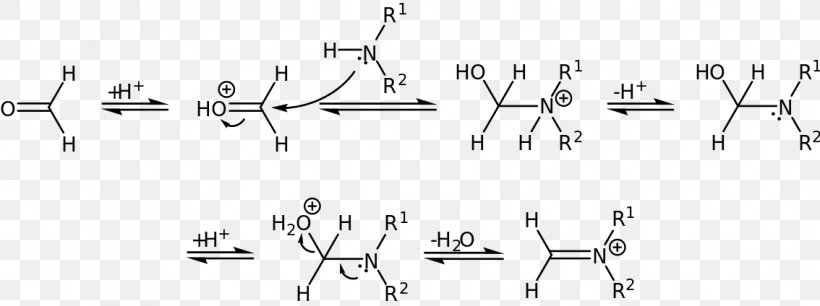 Dehydration Reaction Mannich Reaction Reaction Mechanism Amine Imine, PNG, 1134x424px, Dehydration Reaction, Addition Reaction, Aldol Reaction, Amine, Ammonia Download Free