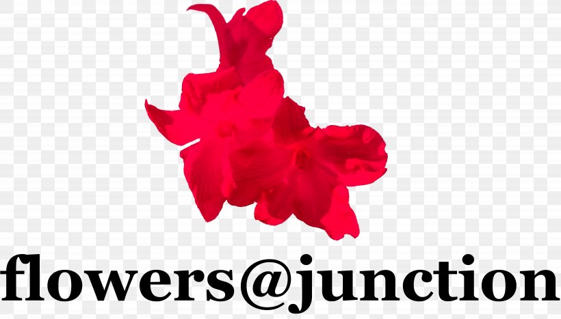 Flowers @ Junction Petal Floristry Ikebana, PNG, 11474x6539px, Petal, Brand, Buddhism, English, Floristry Download Free