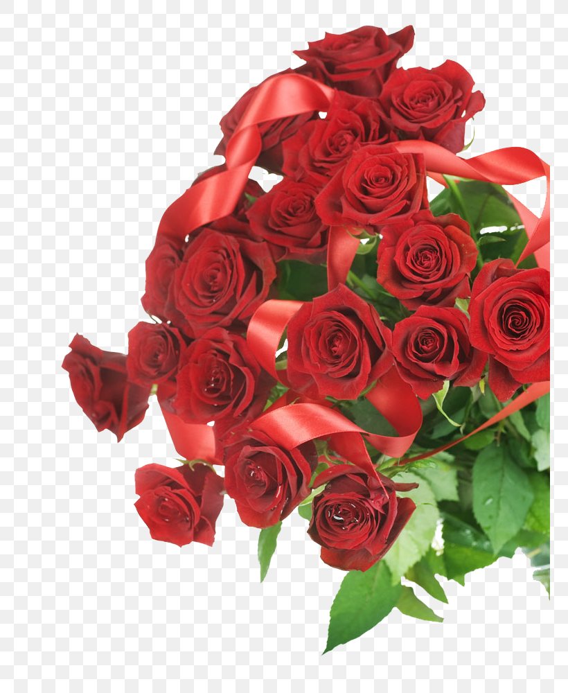 Beach Rose Garden Roses Flower, PNG, 768x1000px, Beach Rose, Artificial Flower, Cut Flowers, Floral Design, Floribunda Download Free