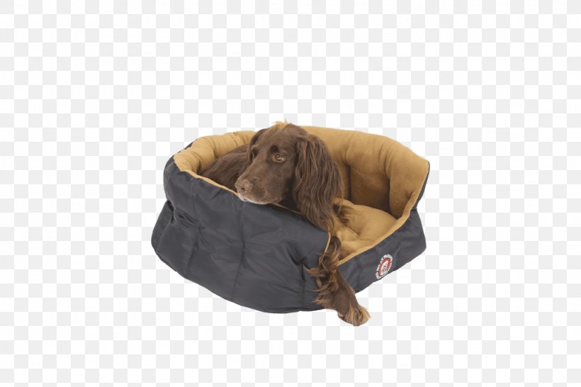 Dog Collar Leash Snout, PNG, 1024x683px, Dog, Basket, Collar, Dog Collar, Leash Download Free