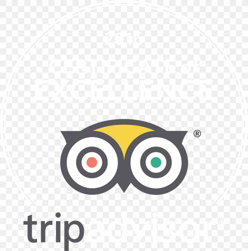 TripAdvisor Travel Hotel Santa Cruz De Tenerife Cancún, PNG, 961x972px, Tripadvisor, Backpacker Hostel, Beak, Bird, Bird Of Prey Download Free