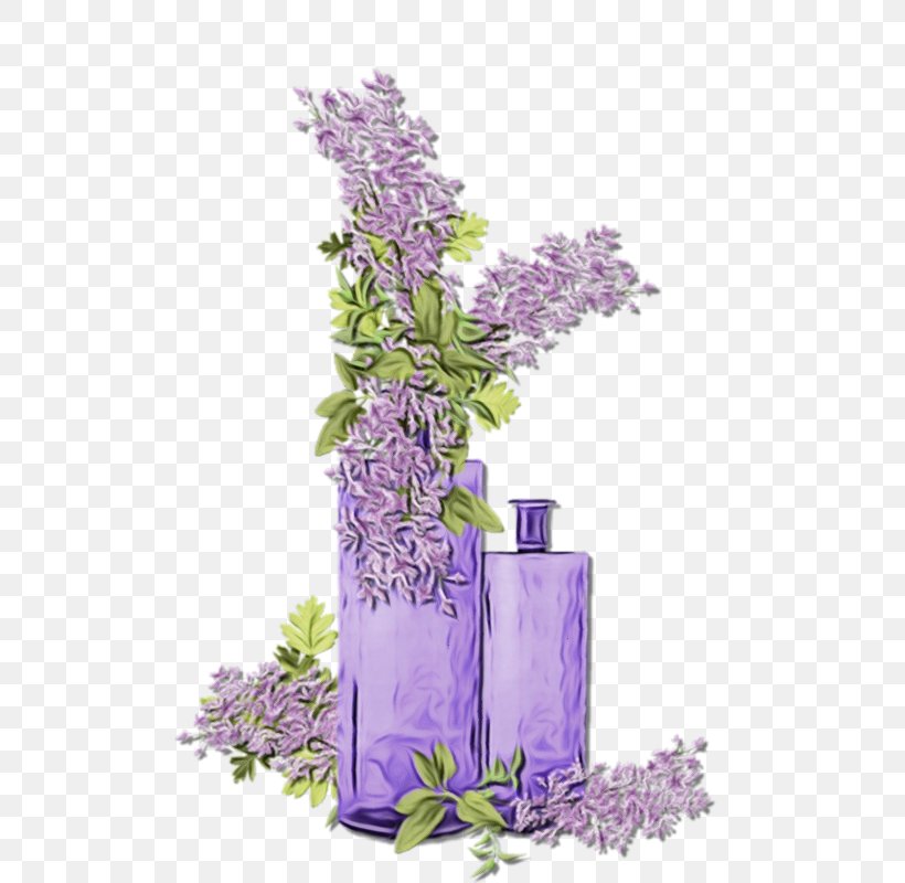 Lavender, PNG, 572x800px, Watercolor, English Lavender, Flower, Flowering Plant, Lavender Download Free