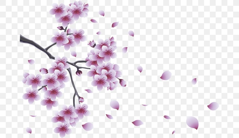 Clip Art Image Openclipart Vector Graphics, PNG, 684x475px, Spring, Blossom, Branch, Cherry Blossom, Creative Commons License Download Free