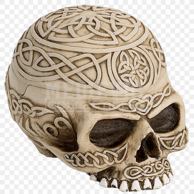 Skull Human Skeleton Box Bone, PNG, 856x856px, Skull, Artifact, Bone, Box, Celtic Cross Download Free