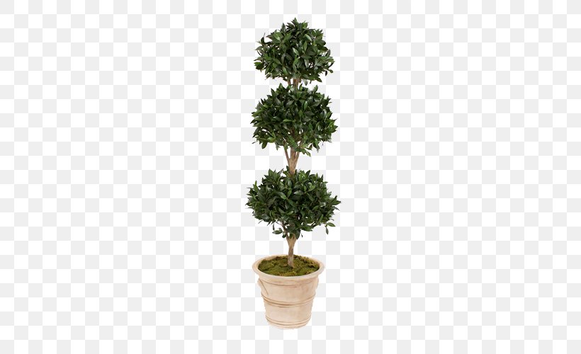 Green Plants Potted Evergreen Tree, PNG, 500x500px, Topiary, Artificial Flower, Bay Laurel, Bonsai, Crock Download Free