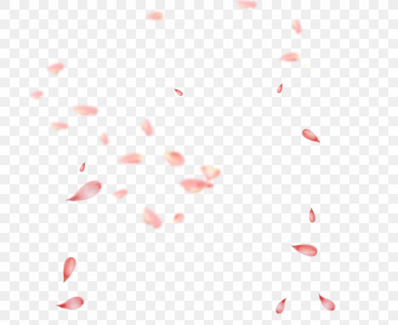 Petal Flower Image Vector Graphics, PNG, 1920x1571px, Petal, Confetti, Drawing, Floristry, Flower Download Free