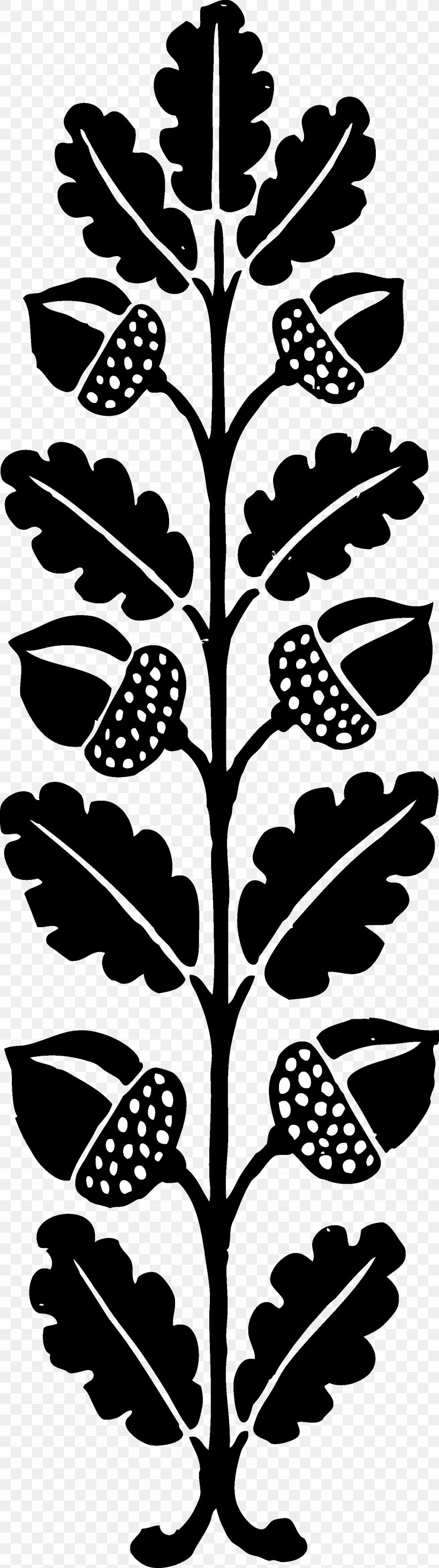 Acorn Black And White Clip Art, PNG, 1487x5307px, Acorn, Acorn Woodpecker, Black And White, Blog, Flora Download Free