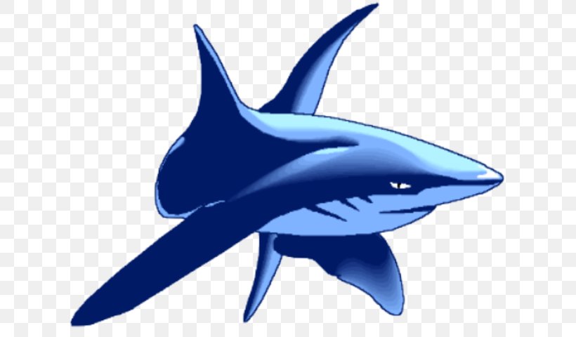 Common Bottlenose Dolphin Shark Dinosaur Planet Image School, PNG, 637x480px, Common Bottlenose Dolphin, Cartilaginous Fish, Dinosaur Planet, Dolphin, Electric Blue Download Free