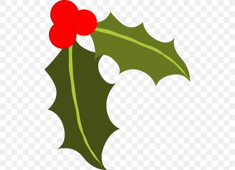 Common Holly Berry Clip Art, PNG, 510x593px, Common Holly ...