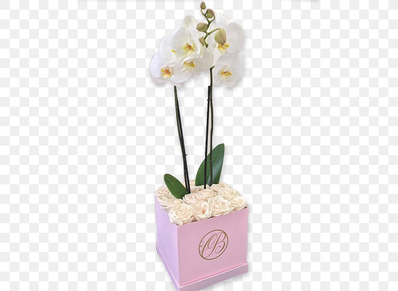 Floral Design Moth Orchids Rose Cut Flowers, PNG, 600x600px, Floral Design, Artificial Flower, Box, Color, Cut Flowers Download Free