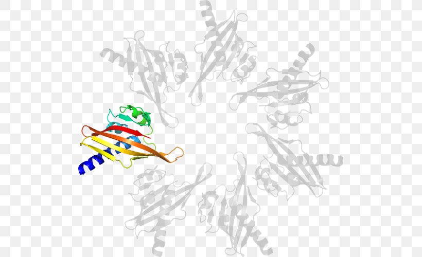 Graphic Design Clip Art, PNG, 515x500px, Calligraphy, Art, Artwork, Computer, Hand Download Free