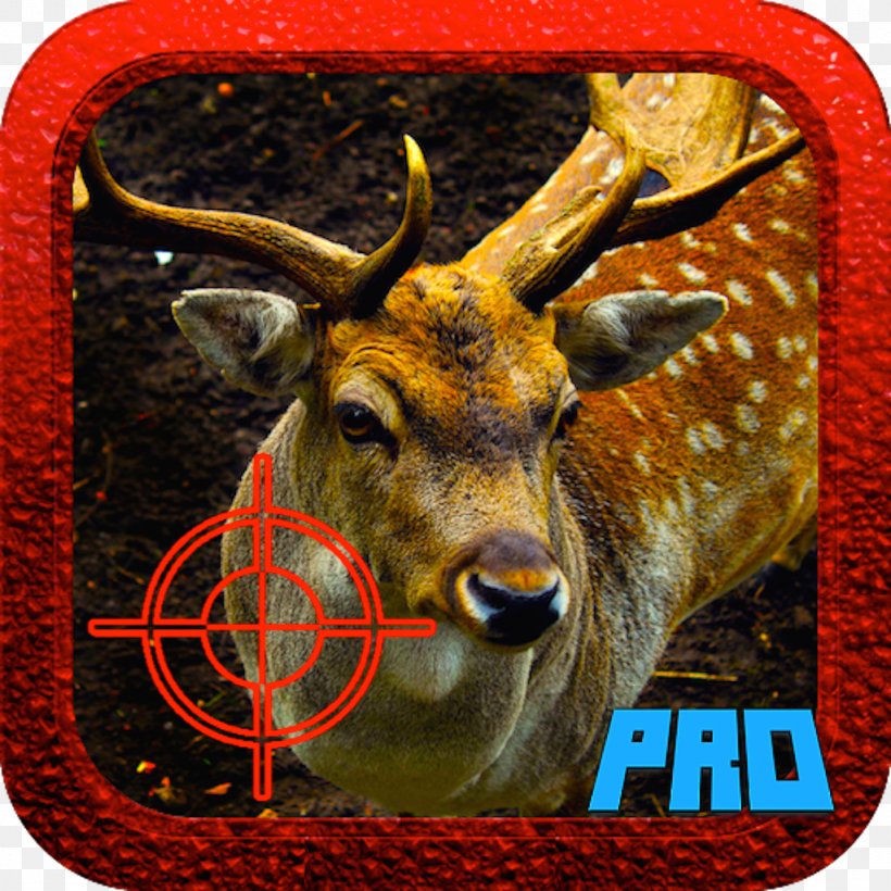 Red Deer White-tailed Deer Reindeer Moose, PNG, 1024x1024px, Deer, Animal, Antler, Closeup, Deviantart Download Free