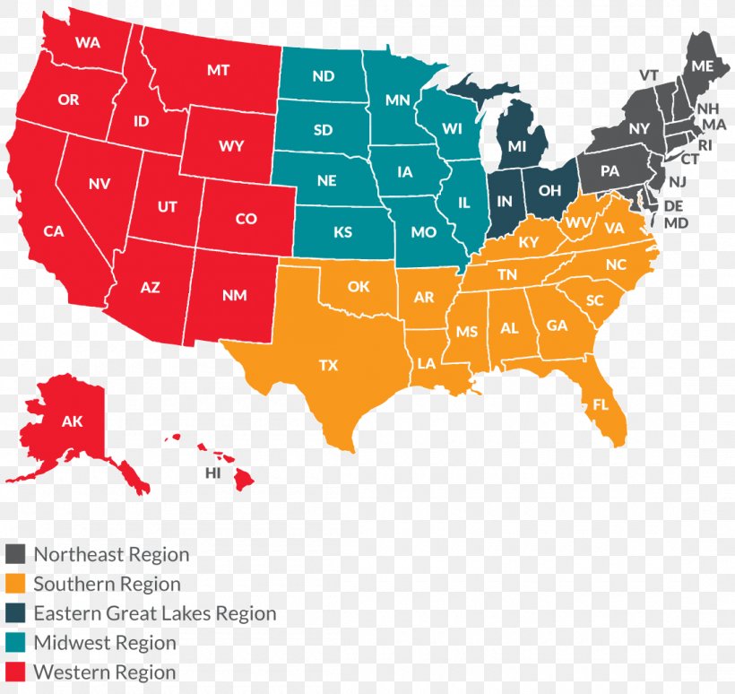 United States Presidential Election, 2008 Dominion Herbal College Electoral College, PNG, 1100x1039px, United States, Area, Brand, College, Diagram Download Free