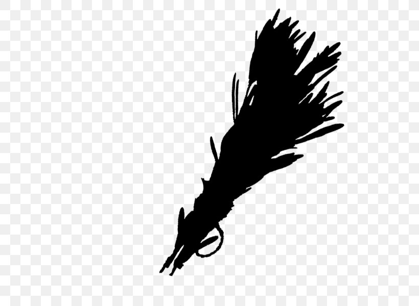 Bald Eagle Beak Feather Font Quill, PNG, 600x600px, Bald Eagle, Beak, Bird, Black, Black M Download Free