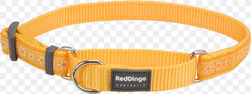 Dingo Dog Collar Martingale, PNG, 3000x1127px, Dingo, Chain, Choker, Clothing Accessories, Collar Download Free