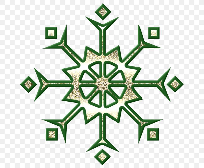 Family Symbol, PNG, 699x679px, Snowflake, Connecticut, Dentistry, Green, Plant Download Free